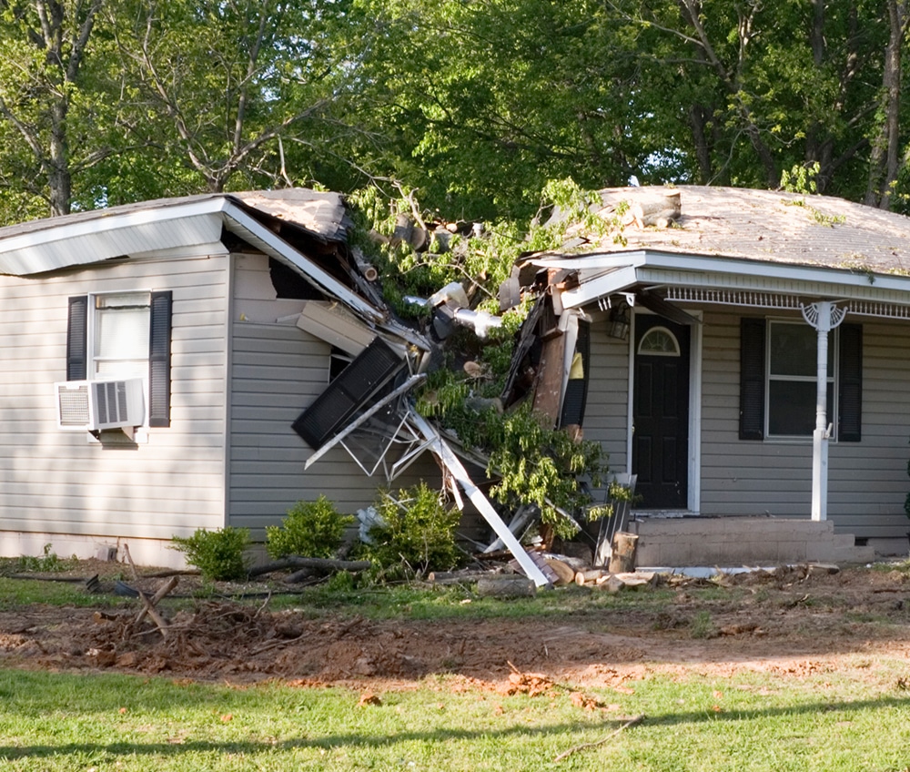 a house with trees in the front yard