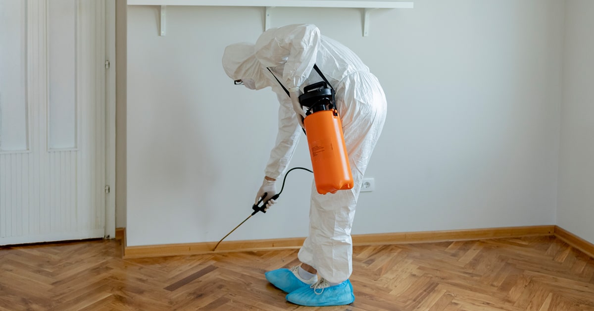 a person standing on top of a wooden floor