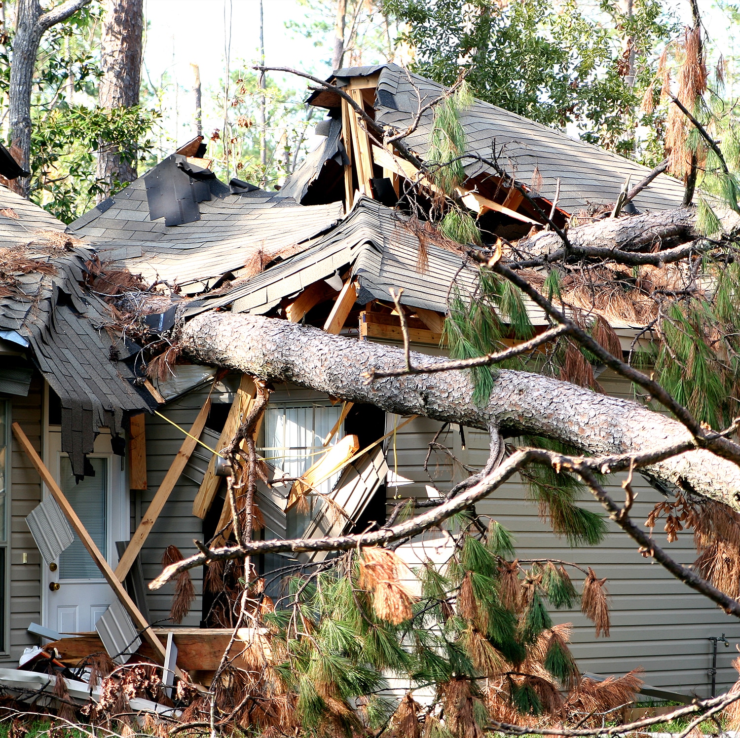 Tree fell on roof