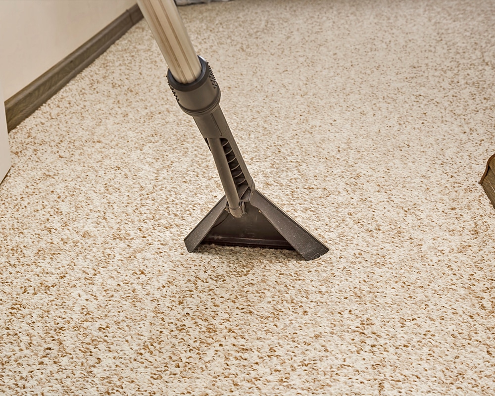 carpet cleaning