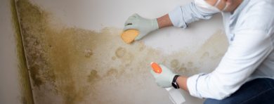 A Guy Removing A Mold From A Wall