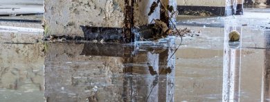 Water Damage Service